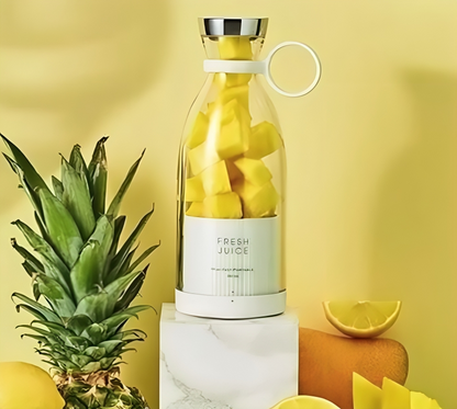 Electric Mini Juicer
